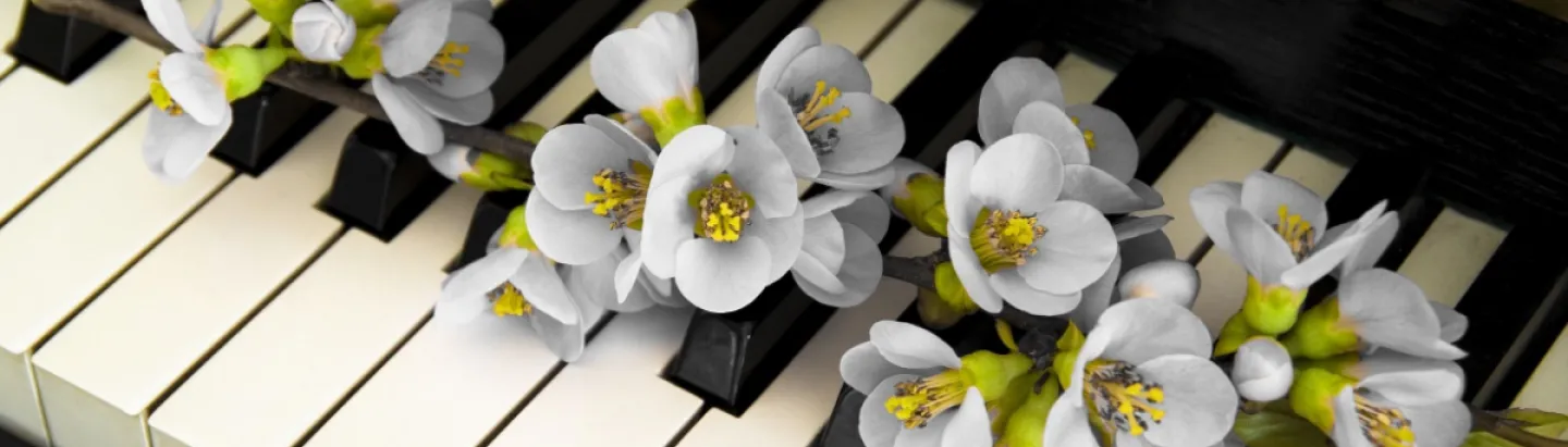 Dar pésame por WhatsApp